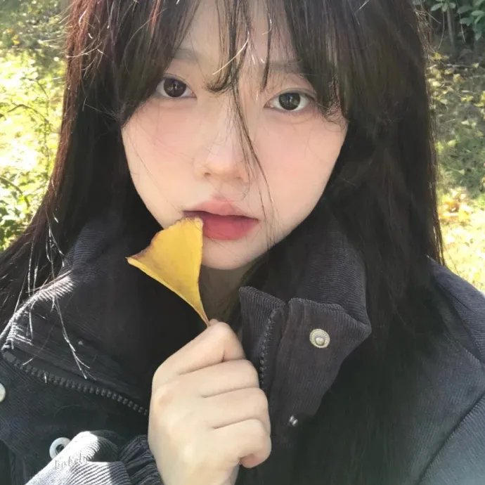 武士的菜单